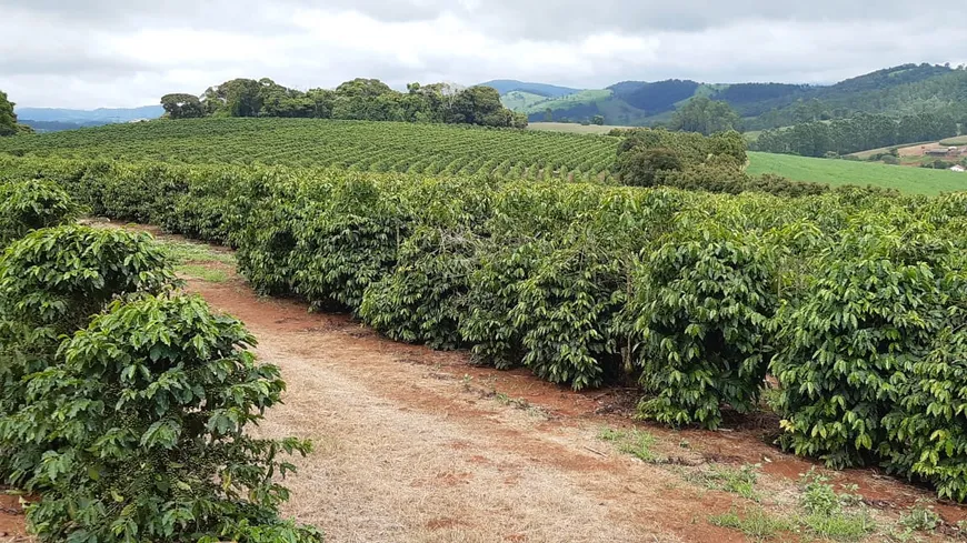 Foto 1 de Fazenda/Sítio à venda, 2137828m² em Zona Rural, Turvolândia