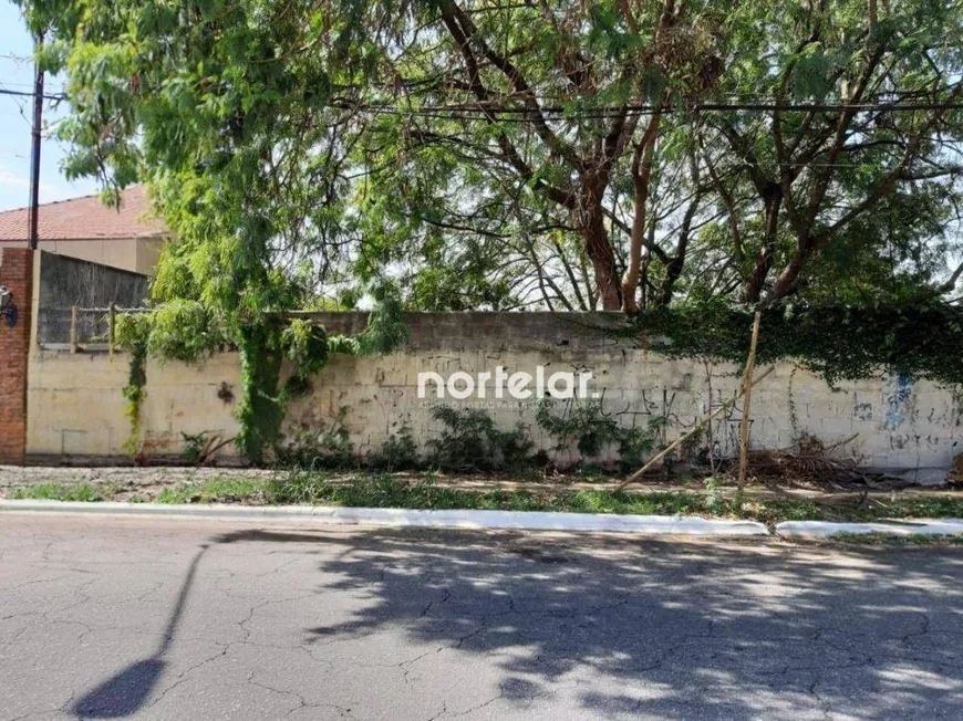 Foto 1 de Lote/Terreno à venda, 420m² em Parque São Domingos, São Paulo
