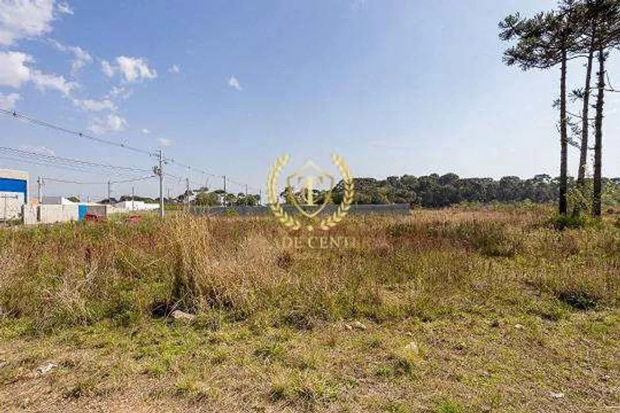 Foto 1 de Lote/Terreno à venda, 360m² em Rio Pequeno, São José dos Pinhais