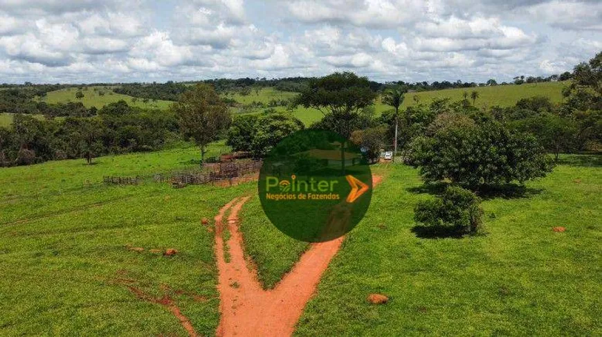 Foto 1 de Fazenda/Sítio à venda, 2613600m² em Zona Rural, Urutaí