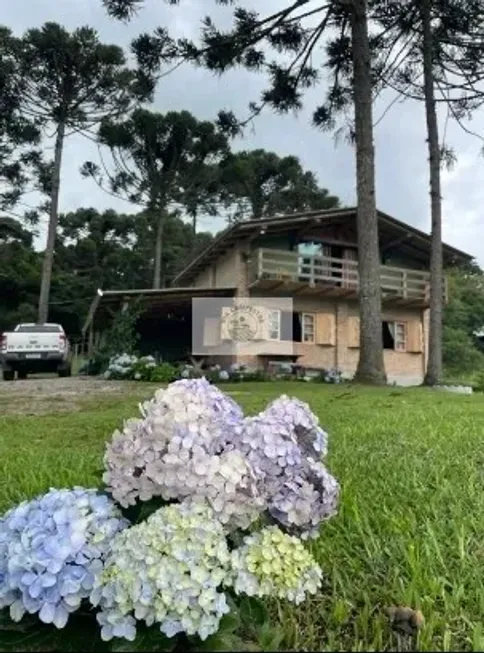 Foto 1 de Fazenda/Sítio com 1 Quarto à venda, 25000m² em Bateias de Baixo, Campo Alegre