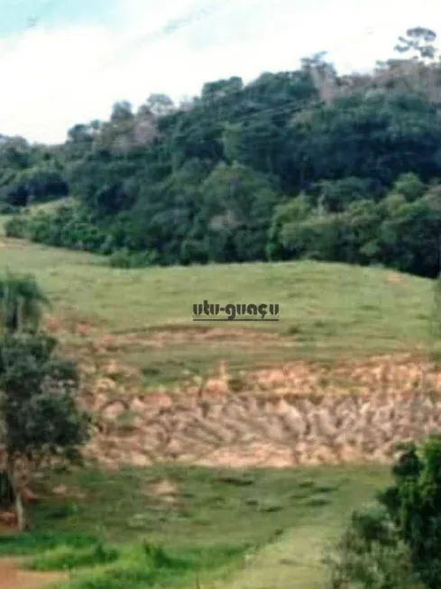 Foto 1 de Fazenda/Sítio à venda, 72600m² em Conceição, Elias Fausto