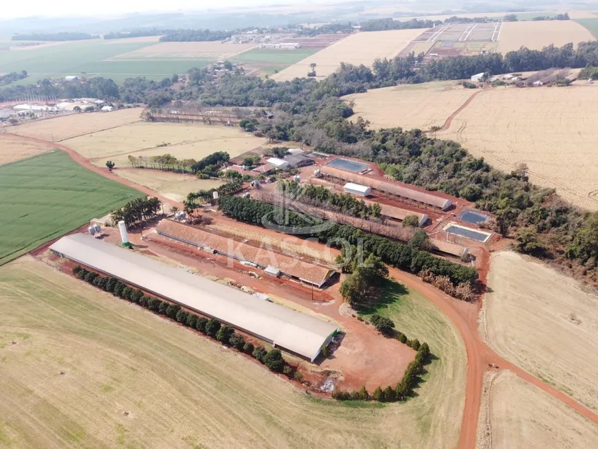 Foto 1 de Fazenda/Sítio à venda, 363000m² em Novo Sobradinho, Toledo