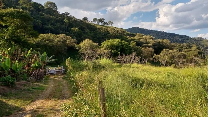 Foto 1 de Fazenda/Sítio com 1 Quarto à venda, 3700m² em Centro, Delfim Moreira