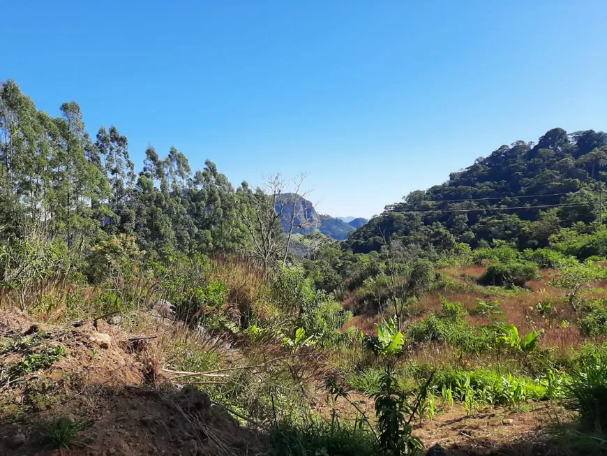 Foto 1 de Fazenda/Sítio com 2 Quartos à venda, 1m² em Sao Pedro da Serra, Nova Friburgo