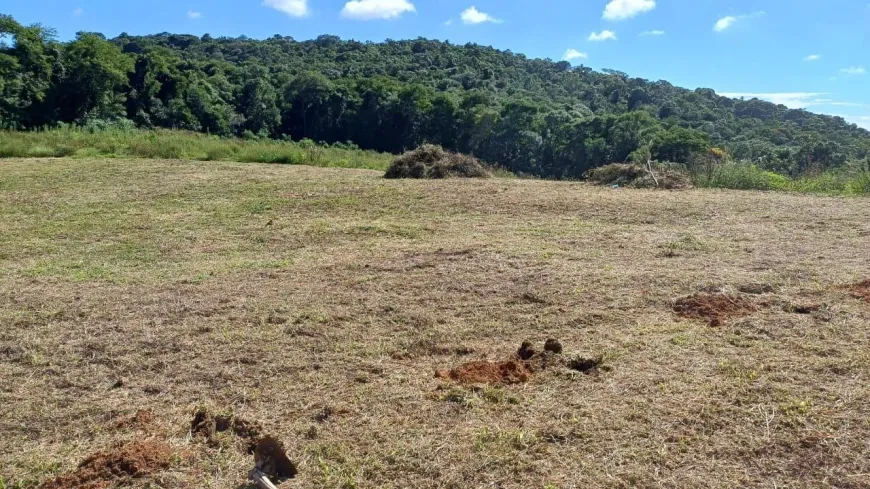 Foto 1 de Lote/Terreno à venda em Rio de Una, Ibiúna