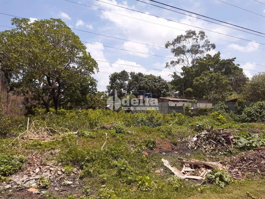 Foto 1 de Lote/Terreno à venda, 1000m² em Morada Nova, Uberlândia