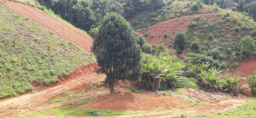 Foto 1 de Fazenda/Sítio à venda, 30000m² em Centro, Marechal Floriano