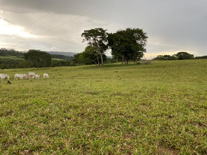 Foto 1 de Fazenda/Sítio com 7 Quartos à venda, 4m² em , Hidrolândia