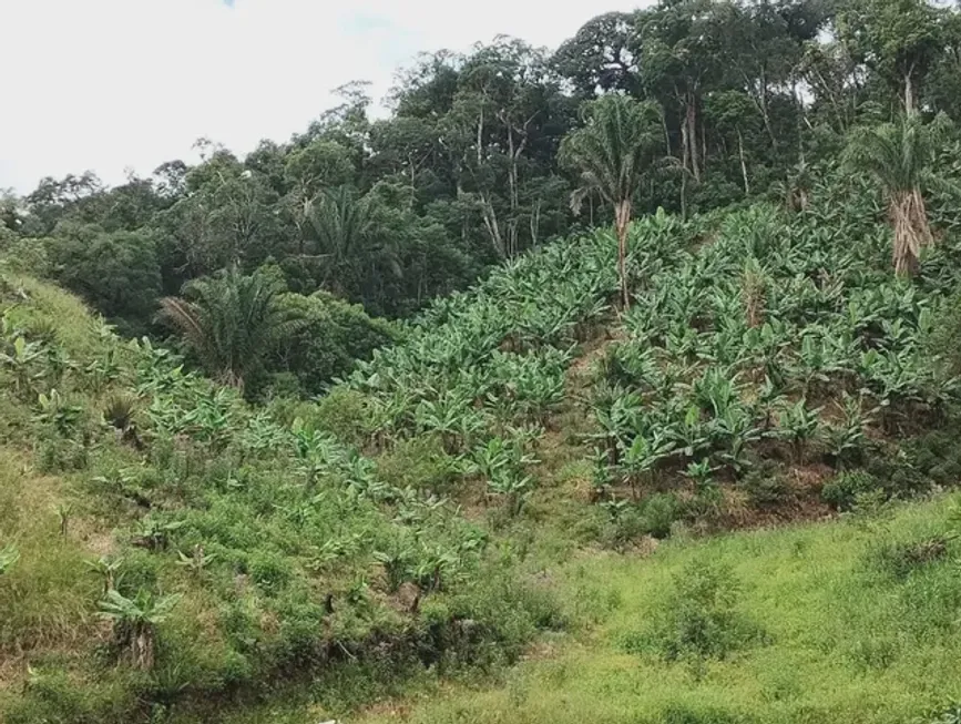 Foto 1 de Fazenda/Sítio com 3 Quartos à venda, 2000m² em Area Rural de Itajai, Itajaí