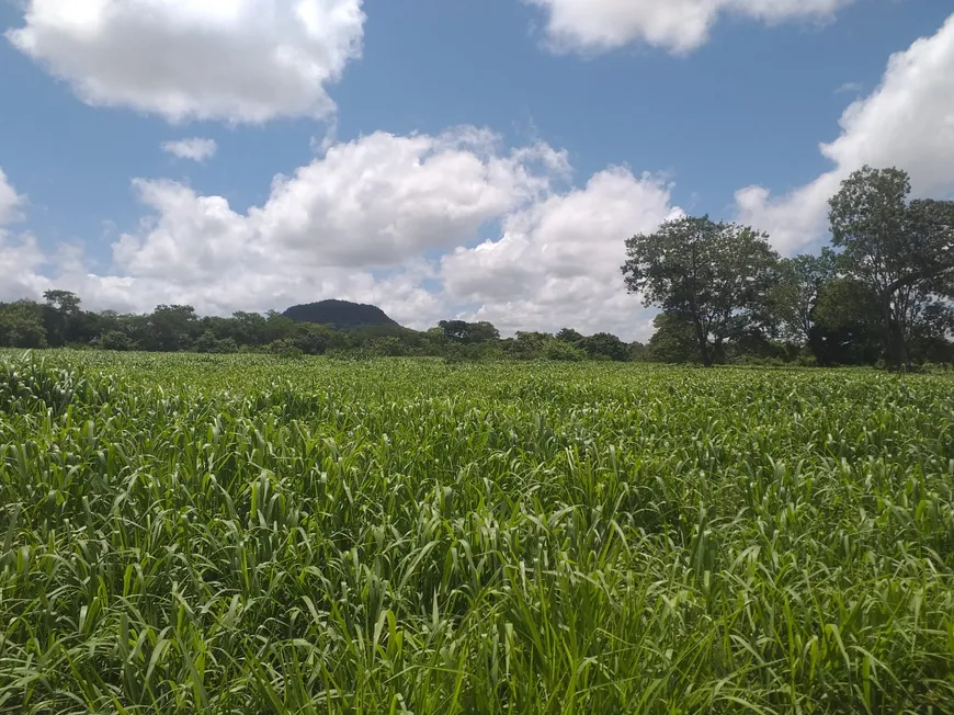 Foto 1 de Fazenda/Sítio à venda, 4110000m² em Zona Rural, Arinos