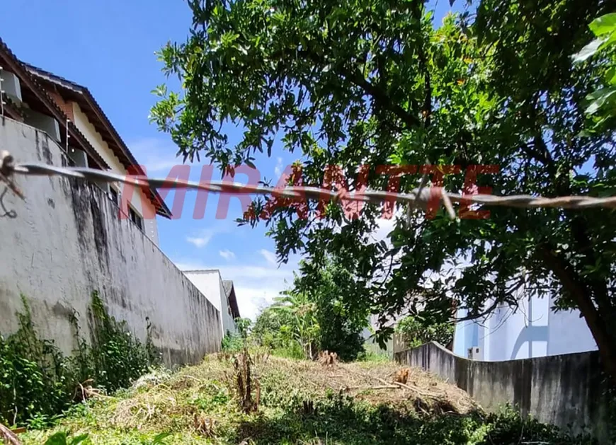 Foto 1 de Lote/Terreno à venda, 360m² em Tucuruvi, São Paulo