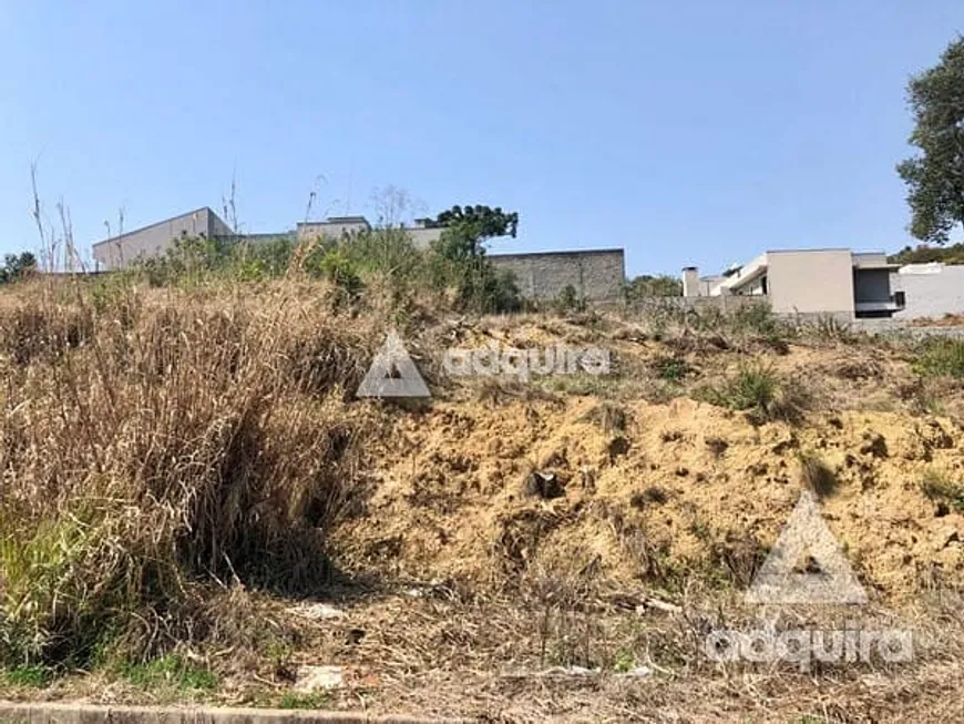 Foto 1 de Lote/Terreno à venda, 10m² em Estrela, Ponta Grossa