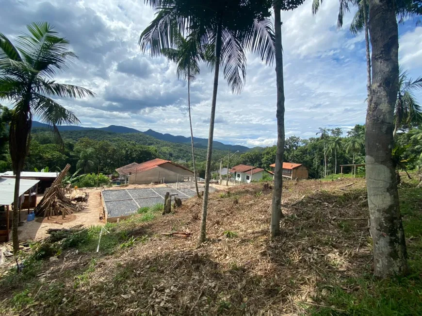 Foto 1 de Lote/Terreno à venda, 412m² em São Pedro, Brusque