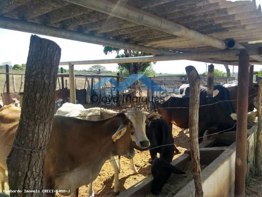 Foto 1 de Fazenda/Sítio à venda, 275000m² em Trairas, Macaíba