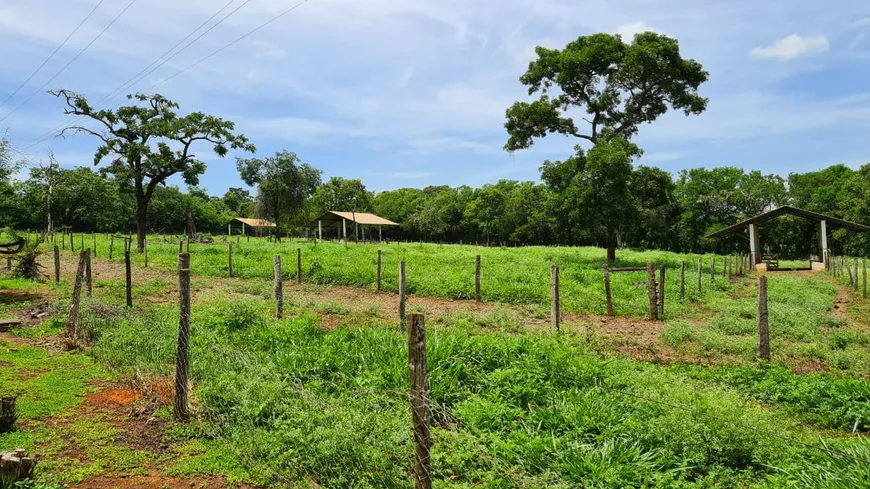 Foto 1 de Lote/Terreno à venda, 20000m² em Centro, Matozinhos