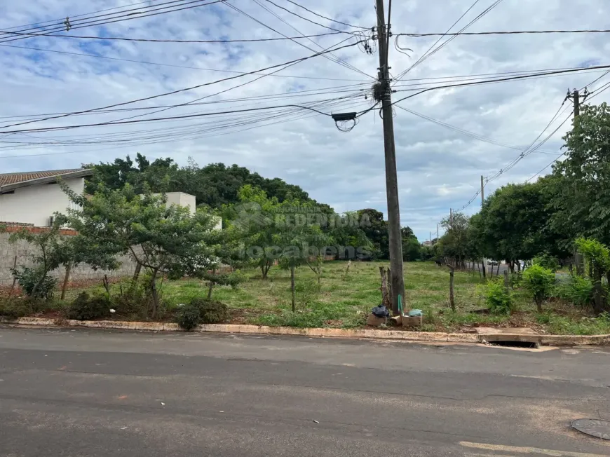 Foto 1 de Lote/Terreno à venda, 236m² em Centro, Palestina