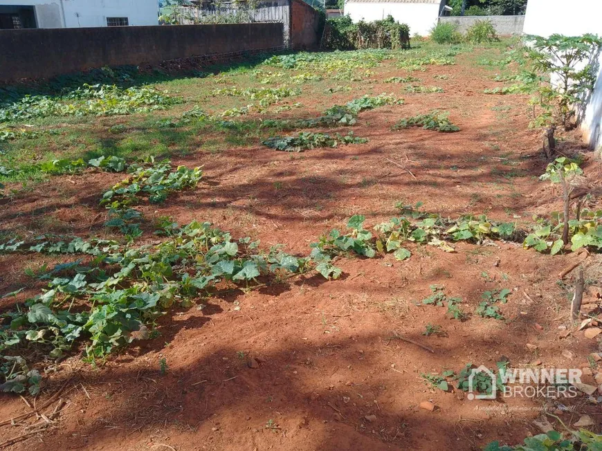 Foto 1 de Lote/Terreno à venda, 438m² em , Iguaraçu