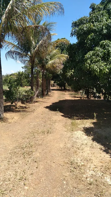 Foto 1 de Fazenda/Sítio com 2 Quartos à venda, 120m² em Ponte Alta Norte, Brasília