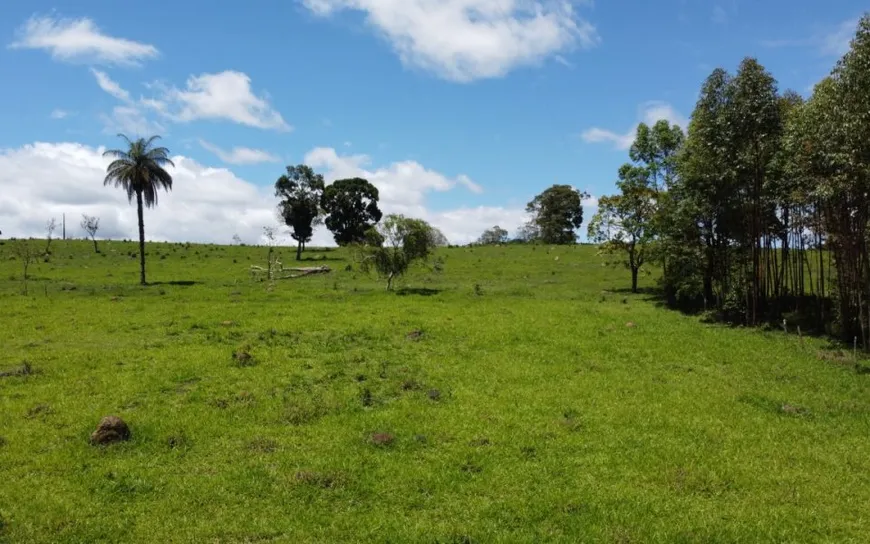 Foto 1 de Lote/Terreno à venda, 20000m² em Zona Rural, Caeté