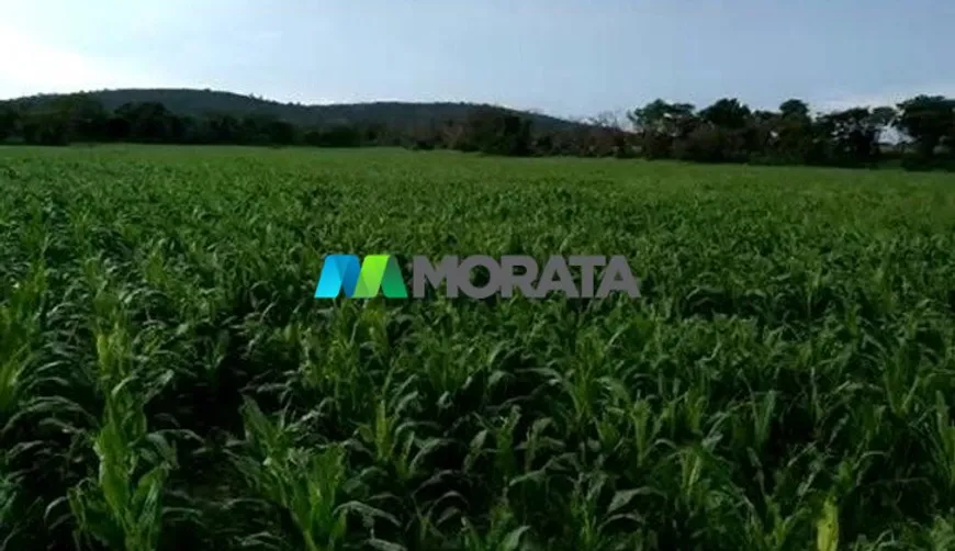 Foto 1 de Fazenda/Sítio com 4 Quartos à venda, 4222m² em Zona Rural, Manga