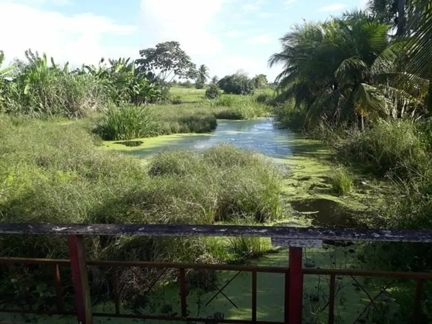 Foto 1 de Fazenda/Sítio à venda, 15000m² em , Vera Cruz