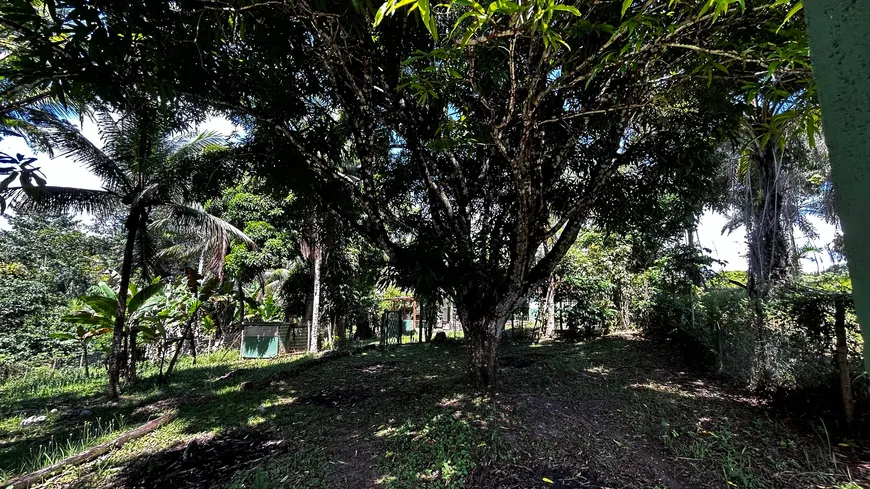 Foto 1 de Fazenda/Sítio com 2 Quartos à venda, 50m² em , Itacaré