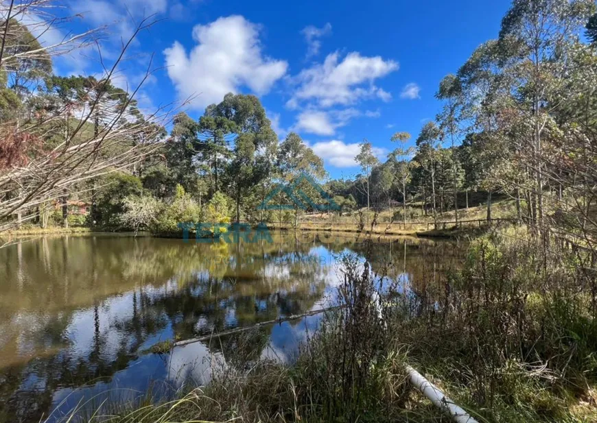 Foto 1 de Fazenda/Sítio com 3 Quartos à venda, 60000m² em Centro, Gonçalves