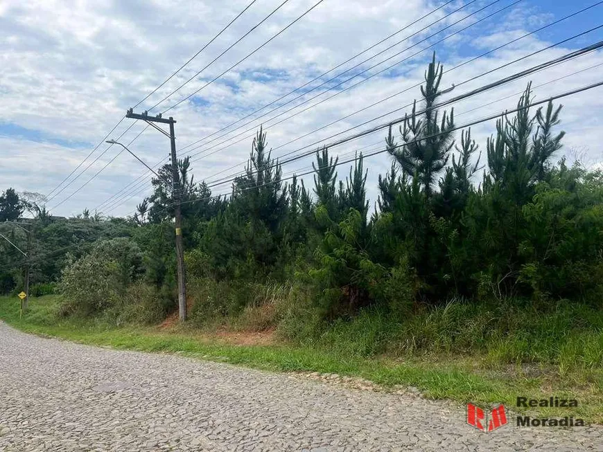 Foto 1 de Lote/Terreno à venda, 4973m² em Moinho Velho, Cotia