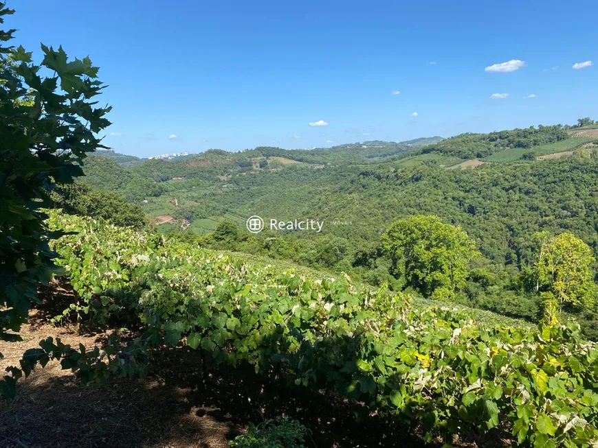 Foto 1 de Lote/Terreno à venda, 150000m² em Vale dos Vinhedos, Bento Gonçalves