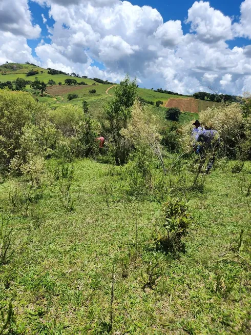 Foto 1 de Lote/Terreno à venda, 12100m² em Centro, Senador Amaral