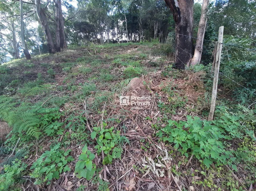 Foto 1 de Lote/Terreno à venda, 423m² em Vargem Grande, Nova Friburgo