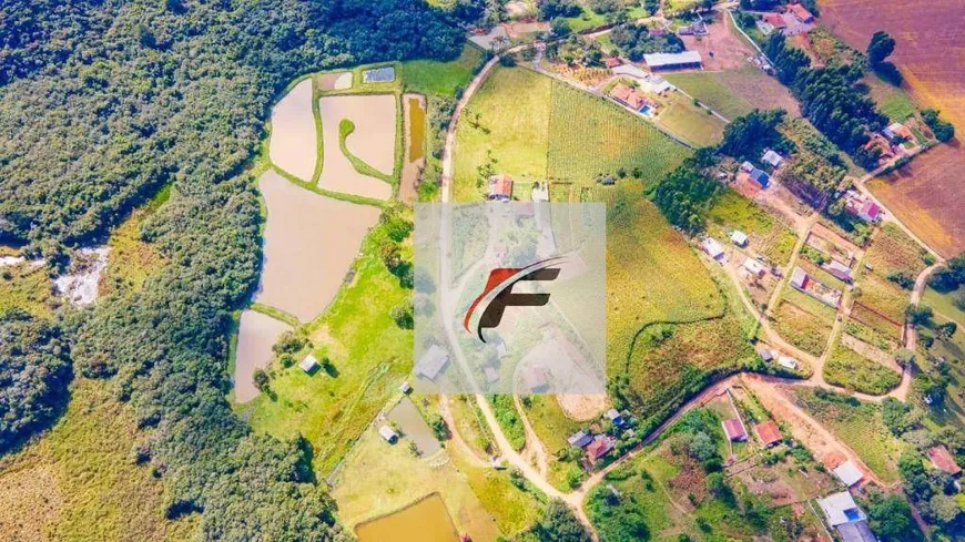 Foto 1 de Fazenda/Sítio com 5 Quartos à venda, 103500m² em Veneza, Fazenda Rio Grande