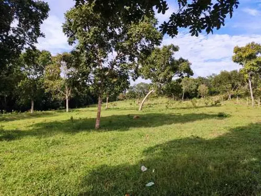 Foto 1 de Fazenda/Sítio com 3 Quartos à venda, 200m² em Zona Rural, Goianésia