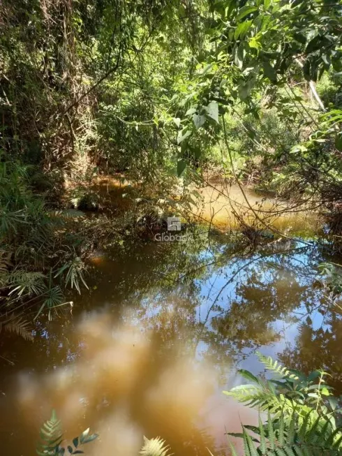 Foto 1 de Fazenda/Sítio à venda, 5000m² em Centro, Juramento