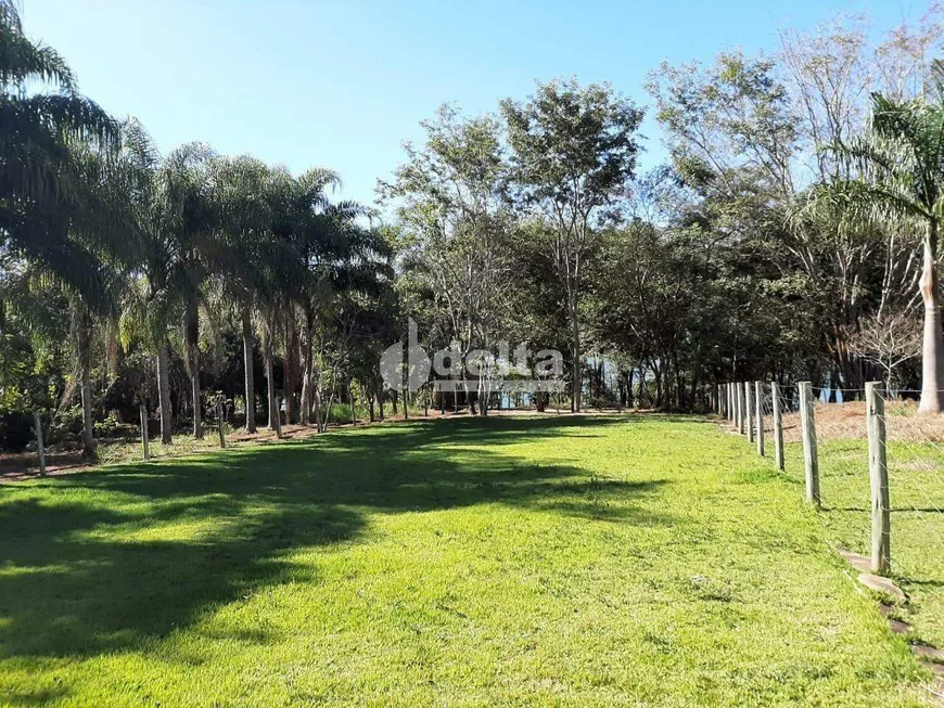 Foto 1 de Fazenda/Sítio com 3 Quartos à venda, 2000m² em Area Rural de Uberlandia, Uberlândia