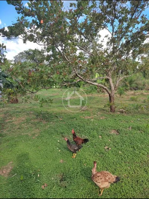 Foto 1 de Fazenda/Sítio à venda, 50000m² em Zona Rural, Santo Antônio do Leverger