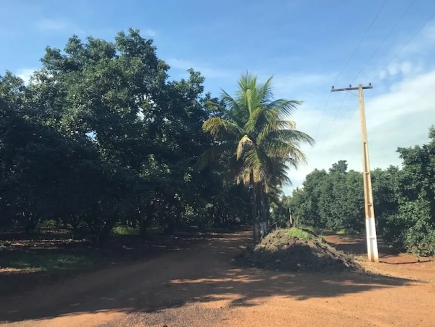 Foto 1 de Lote/Terreno à venda, 250000m² em Centro, Ribeirão Preto