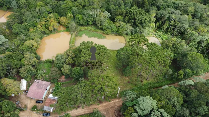 Foto 1 de Fazenda/Sítio com 3 Quartos à venda, 60m² em Centro, Bocaiúva do Sul