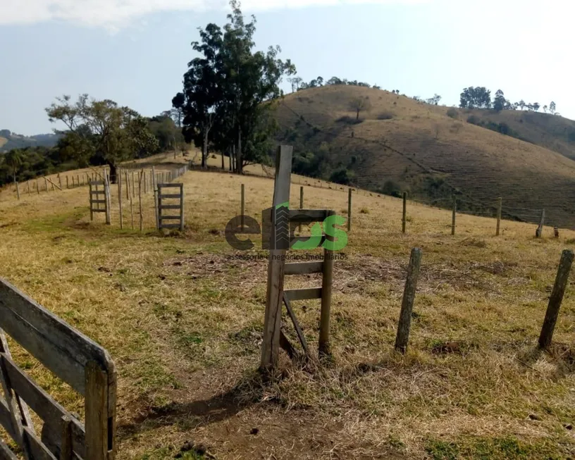 Foto 1 de Fazenda/Sítio com 1 Quarto à venda, 22m² em Zona Rural, Cambuí