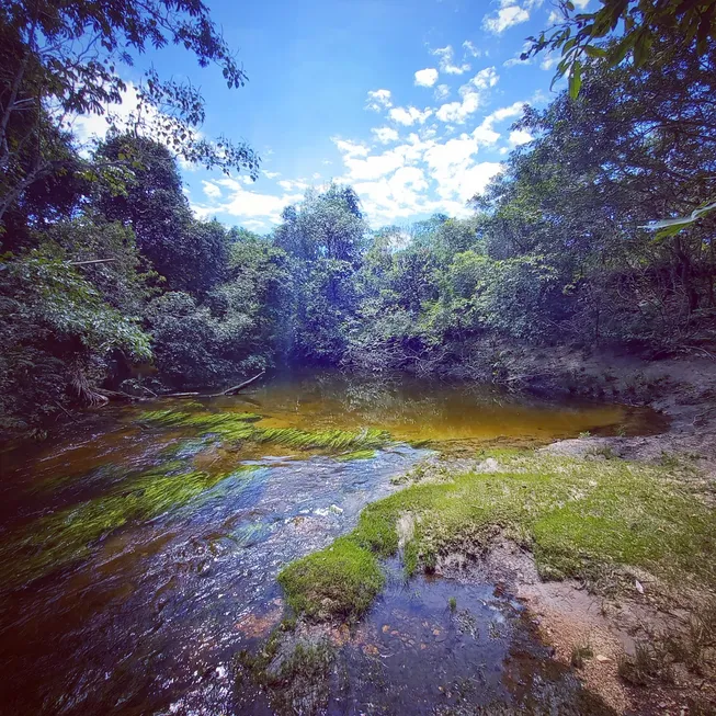 Foto 1 de Fazenda/Sítio à venda, 40000m² em , Alto Paraíso de Goiás