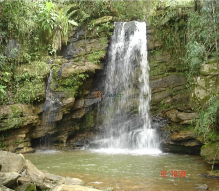 Foto 1 de Fazenda/Sítio com 4 Quartos à venda, 500m² em Centro, Avaré