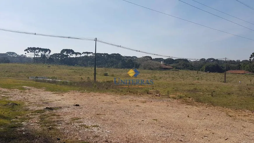 Foto 1 de Lote/Terreno à venda, 114950m² em Roseira, São José dos Pinhais