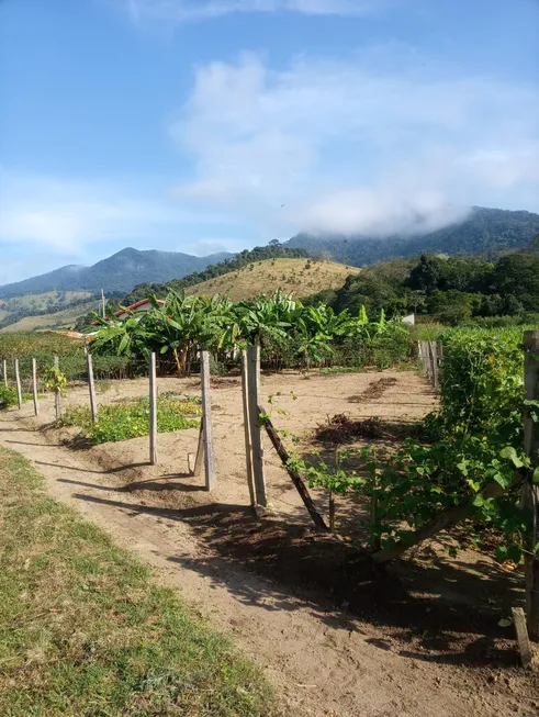 Foto 1 de Lote/Terreno à venda em Centro, Virgínia