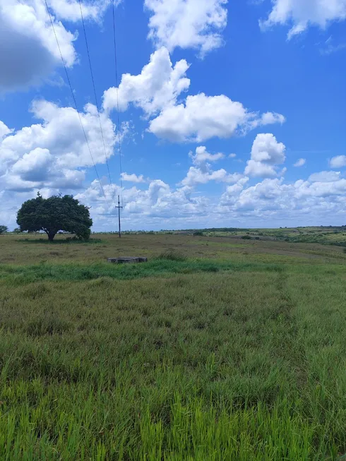 Foto 1 de Fazenda/Sítio com 2 Quartos à venda, 2000m² em , Monte Alegre