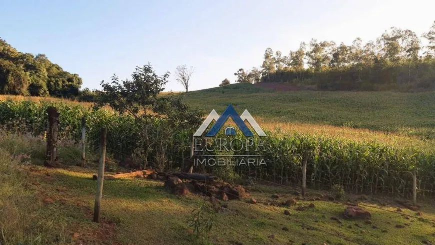Foto 1 de Fazenda/Sítio com 3 Quartos à venda, 85m² em Zona Rural , Bela Vista do Paraíso