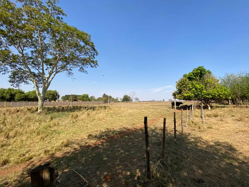 Foto 1 de Fazenda/Sítio com 4 Quartos à venda, 24m² em Centro, Arealva