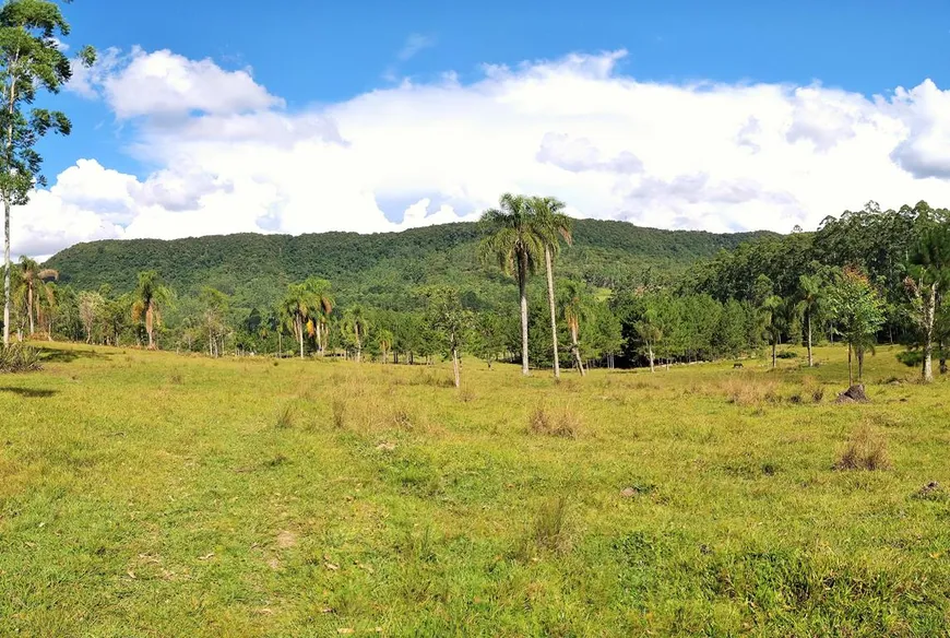 Foto 1 de Fazenda/Sítio com 3 Quartos à venda, 252825m² em Alto Benedito Novo, Benedito Novo