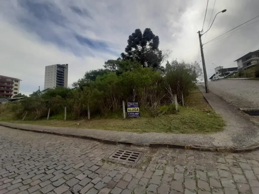 Foto 1 de Lote/Terreno para alugar, 890m² em São Leopoldo, Caxias do Sul