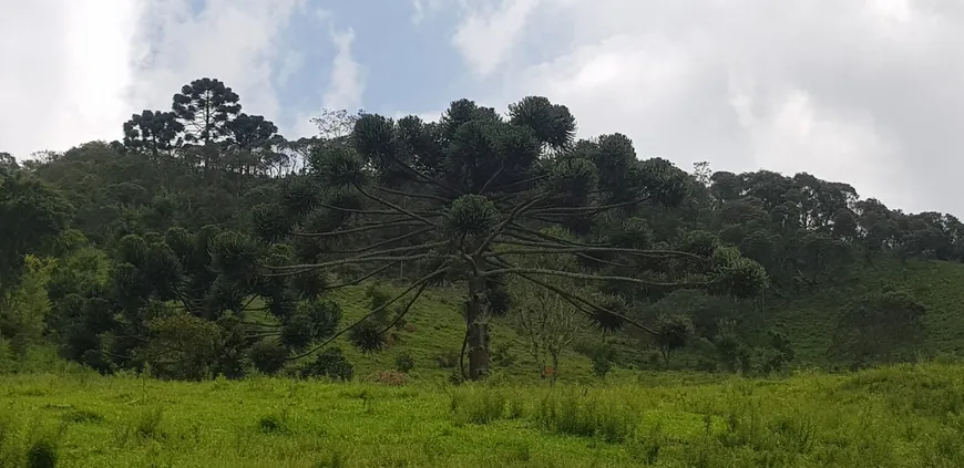 Foto 1 de Fazenda/Sítio com 1 Quarto à venda, 140000m² em Zona Rural, Delfim Moreira